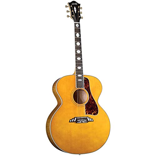Blueridge BG-2500 Acoustic Guitar Review 2023