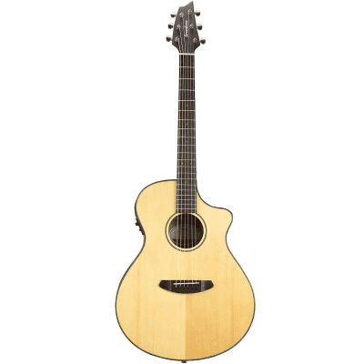 Breedlove Discovery Concert Acoustic Guitar Review 2023