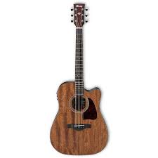 Ibanez AW54CE Acoustic Guitar Review 2022