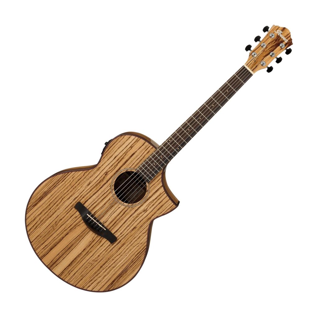Ibanez Exotic Wood AEW40ZW Acoustic Guitar Review 2022