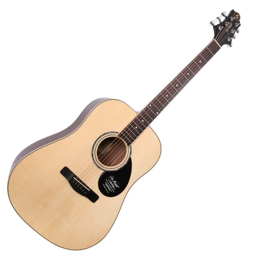 Best Acoustic Guitars Under $300