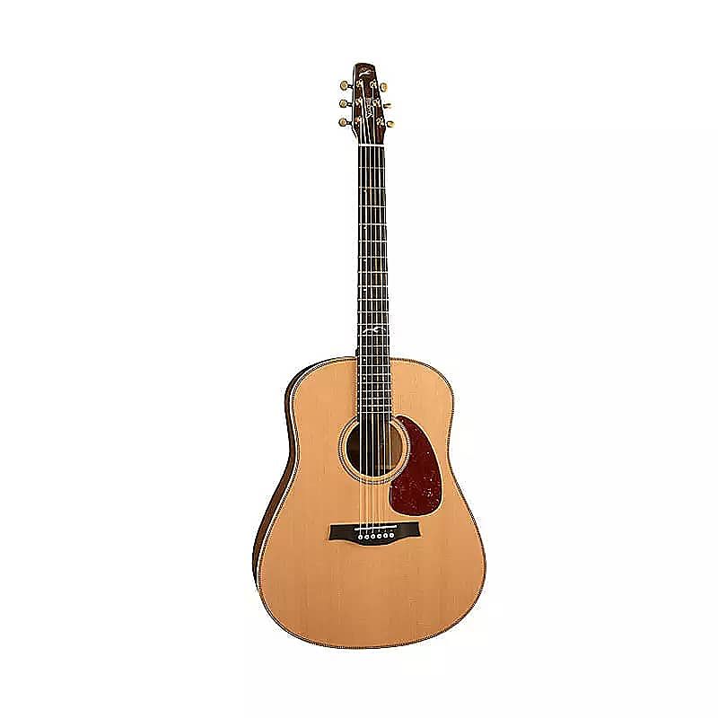 Seagull Artist Mosaic Acoustic Guitar Review 2023