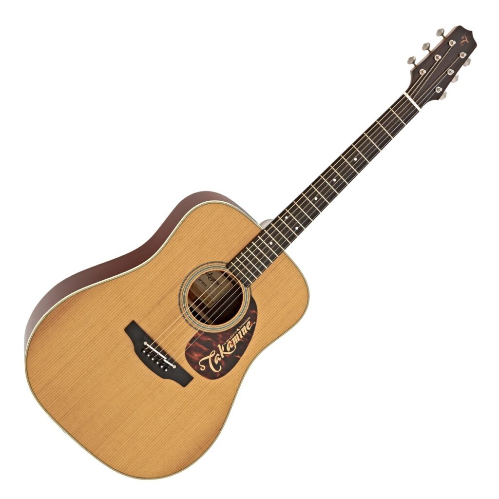 Takamine EF360S-TT Acoustic Guitar Review 2022