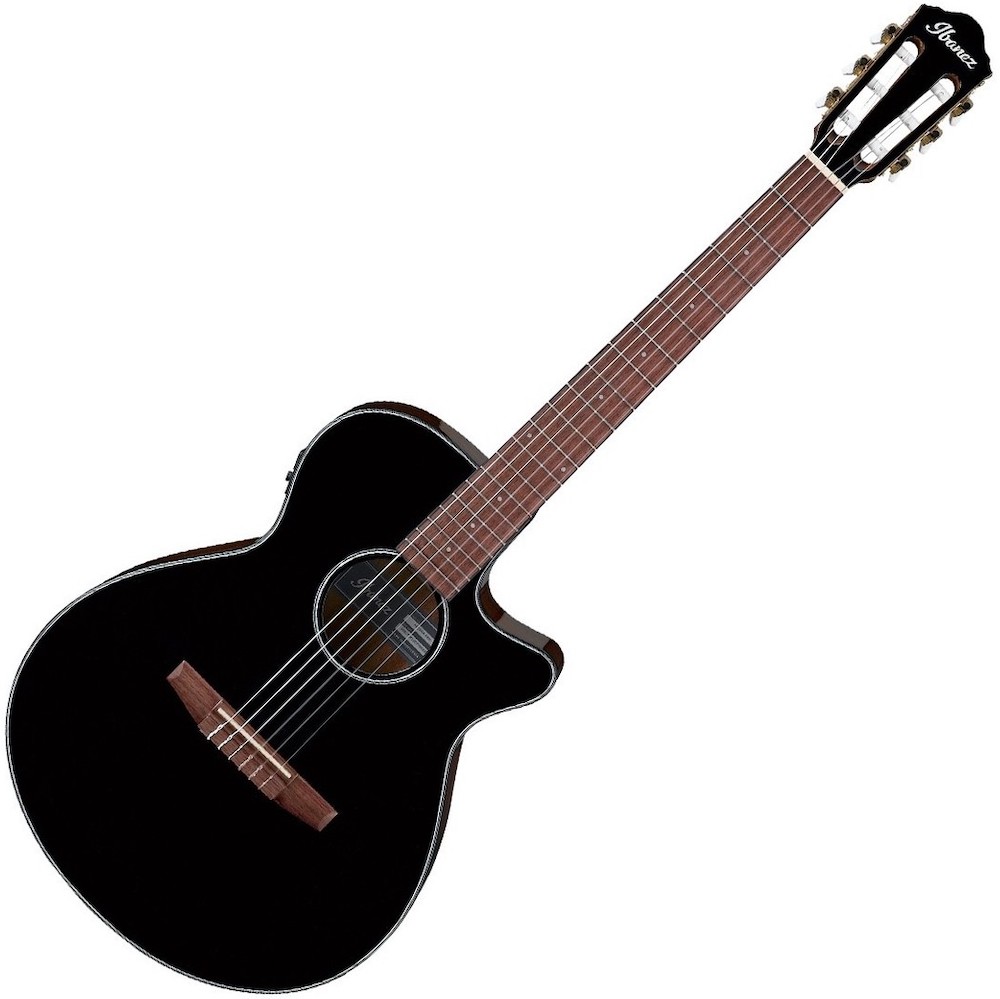 Ibanez AEG50N Acoustic Guitar Review 2022