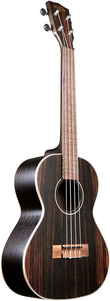 Lohanu LU-C Concert Ukulele Bundle Review 2024