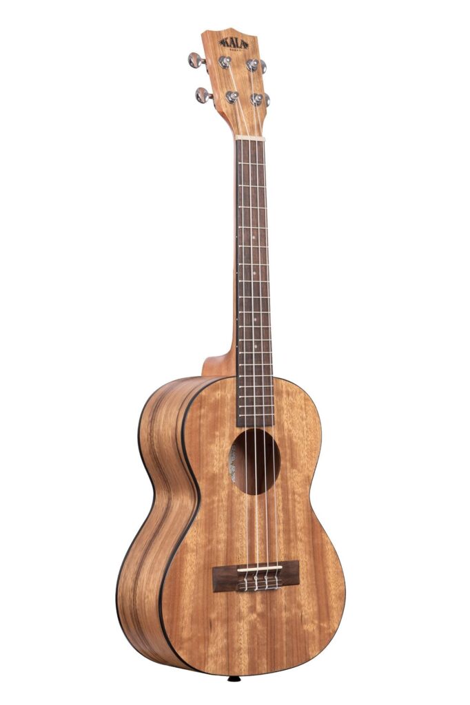 Best Tenor Ukuleles Under $300
