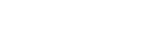 Guitar Lizard