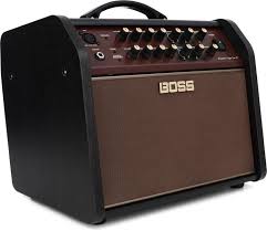 Best Acoustic Guitar Amps