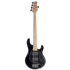 Best High End Bass Guitars