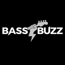 Bass Guitar Online Lessons