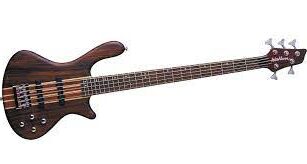 Washburn T25 Taurus 5-String Bass Review 2023