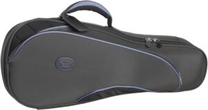 Best Ukulele Cases