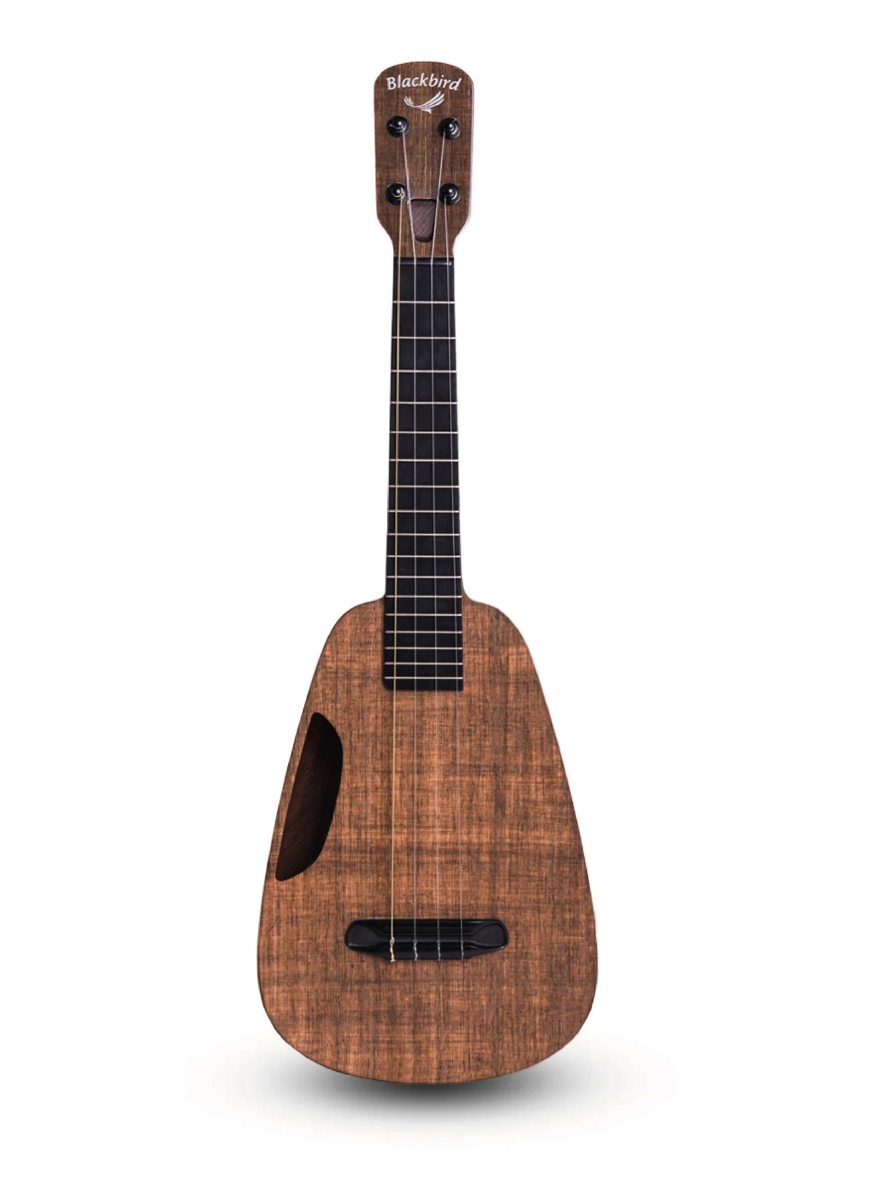 Best Blackbird Ukulele