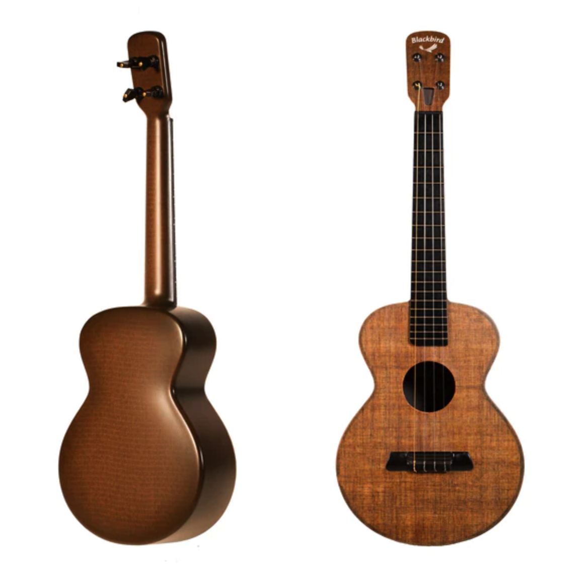 Best Blackbird Ukulele