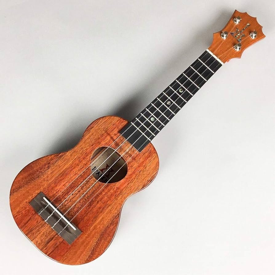 KoAloha Ukulele Review